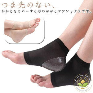 T|[^[ Ռz ؖ ƃNbV ƃpbh ƃ\bNX C ƃPA