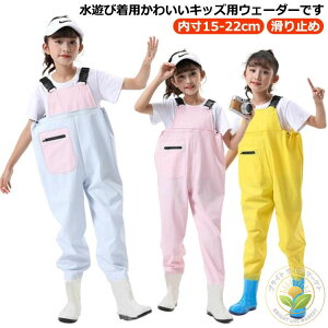 V vCEFA c EF[_[ ̎q Cpc qp `FXgnCEF[_[ ꒅ tC ~J j̎q C LbY LbY C h V ނ 