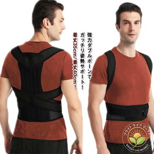 Lwxg j  q xg Lw pxg T|[^[ Lw fB[X Y p xg p ObY q  pǂ xg ␳  pT