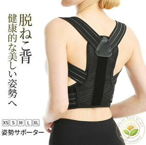 Lwxg j  q xg Lw pxg T|[^[ Lw fB[X Y p xg p ObY q  pǂ xg ␳  pT