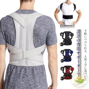 Lwxg j  傫TCY w x Lw pxg T|[^[ Lw fB[X Y p xg p ObY pǂ xg ␳  pT