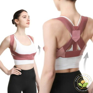 Lwxg pxg w p Lw xg oXgAbv p T|[^[ T|[g xg p Lw  fB[X Y   LwT|[^[ ȒP ڗȂ