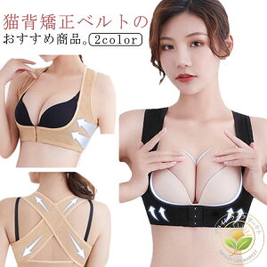 Lwxg pxg w p Lw xg oXgAbv p T|[^[ T|[g xg p Lw  Ci[ fB[X w w xg LwT|[^[