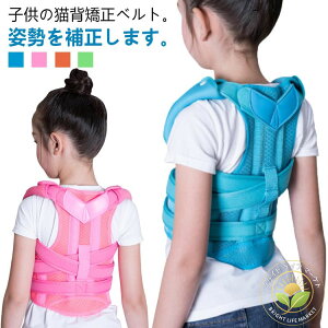 Lwxg j  q Lwh w j̎q ̎q xg Lw pxg T|[^[ Lw fB[X Y p xg p ObY q pǂ x