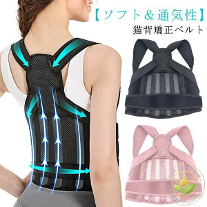 Lwxg j  xg Lw pxg T|[^[ Lw fB[X Y Ci[ p xg p ObY  pǂ xg ␳  pT