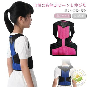 Lwxg LbY qp Lwh q w j̎q ̎q xg Lw pxg T|[^[ Lw fB[X Y p xg p ObY q pǂ 