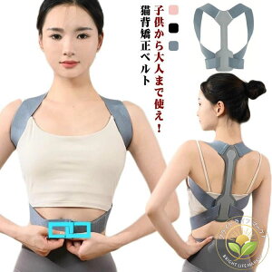 Lwxg j  xg Lw pxg T|[^[ Lw fB[X Y Ci[ p xg p ObY  pǂ xg ␳  pT