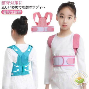 Lwxg LbY qp Lwh q w j̎q ̎q xg Lw pxg T|[^[ Lw fB[X Y p xg p ObY q pǂ 