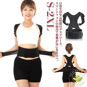 Lwxg j  q xg Lw pxg T|[^[ Lw fB[X Y Ci[ p xg p ObY  pǂ xg pT|[^