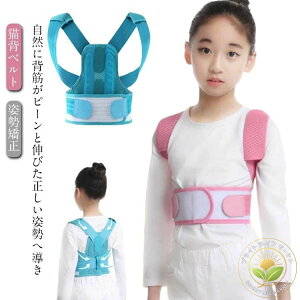 Lwxg qp LbY pxg Lw   P xg ̎q j̎q w؋xg pT|[^[ pT|[^[ p␳ pP xg w؃T|[