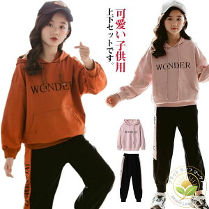 tH WjA pW} _Xߑ q ㉺Zbg N X|[cEFA Opc  LbY ̎q