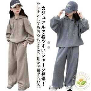 WjA Opc q pc t[ht ㉺Zbg X|[cEFA LbY q ̎q K[Y p[J[ Y{