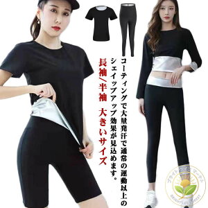 X|[cEFA ㉺Zbg g[jO  TEiX[c TEipc 傫TCY Xgb`  _CGbg g[jO fB[X jO WMO