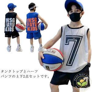 q WjA LbY X|[cEFA Zp n[tpc m[X[u ^Ngbv ㉺Zbg ZbgAbv