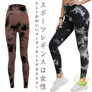 y[J[  킢 {^jJ  ԕ tBbglX K r 18 nCEGXg KEFA fB[X