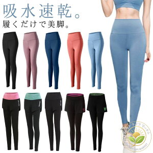 KMX fB[X Kpc X|[cEFA 傫TCY K MX KEFA seBX