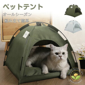   Q ʃNbV AEghA O   xbh ybgxbh ybgeg ybgp L  eg