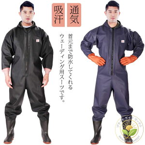 z EF[_[ C t[ht Sgh cA tC X[c Sh hȂ  ƒ ʋC ނ