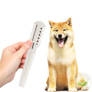 R[ O[~O ybg Ck ybgpi  XLR[ Jbg  ͂ XLoT~