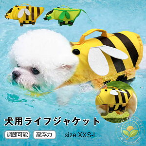   p hbOEFA  ~  C v[ V ^ ^ S S ybgp CtWPbg