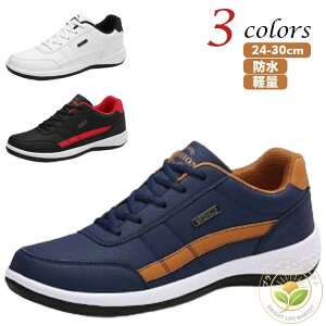 V[Y JWA X|[c  ^ wZ ʋ ʊw y y 傫TCY C h WjA Y Xj[J[