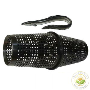 d| ߊl EiMƂ JS ǂ V  Ă ނ tBbVO AEghA q ߊl@ vX`bN a