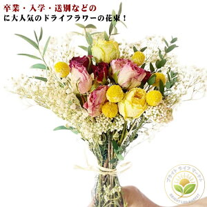 hCt[ ԑ u[P ̓ v[g a j Ԃ Mtg LO  킢 lC  蕨  uC_ sAm\  ސE JX Vzj