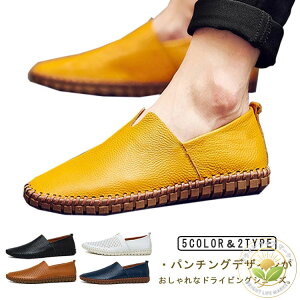 hCrOV[Y Y Xb| C Y vC U[ [t@[ ʋC Iׂ2^Cv 傫TCY ^] ₷  y  _炩 \[ hCu x t 