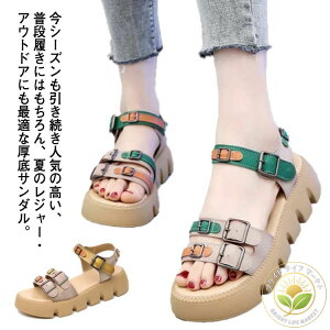 T_ fB[X X|[cT_  zF gT_ y ₷ X|T 22.5cm`25.0cm r  ₷ r 芴 ɂ