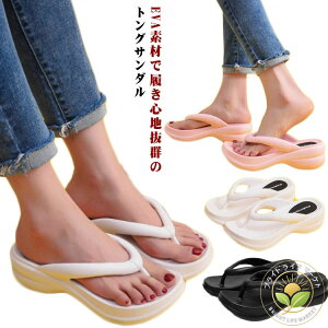 gOT_ fB[X  r 6cmq[ EVA r[`T_ ɂȂ ₷ Ȃ ؂  ₷ x_ AEghA W[ v[