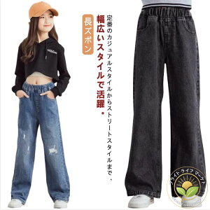 _[WH fjpc W[p Xg[gpc EGXgS Z~Ch ̎q LbY pc W[Y Y{ {gX Opc K[Y  WjA w w t 