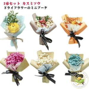 hCt[ ~j ԑ u[P JX~\E 3Zbg ~ju[P ݑ [Y e Mtg v[g a j Ԃ ̓  킢 lC  蕨  uC