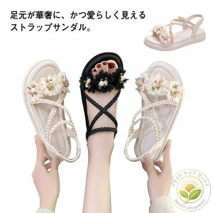 T_ p[ T_ r[`T_ tbgT_ [q[ fB[X 3.5cmq[ ₷ ɂȂ PU  킢 Ȃ I[ygD  t[  r[