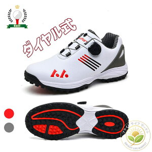 StV[Y  Y _C Xj[J[ 傫TCY 28.5cm 4E L _CXpCNX tBbg V[Y St y ₷ h ϋv K XpCNX r