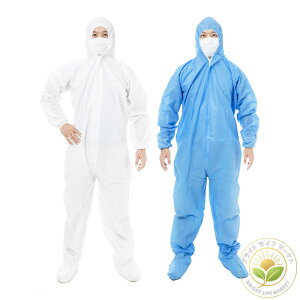 50 h앞 ی앞 ĝ ƕ sDz Zbg q ho HiH EBX΍ Xqt [NEGA Ȃ 傫TCY ʍw