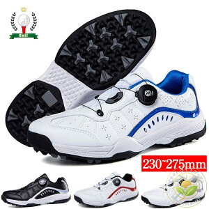 _C StV[Y Y XpCNX      傫TCY 4E L tBbg V[Y St Xj[J[ y ₷ ₷ ʋC h ϋv R hL