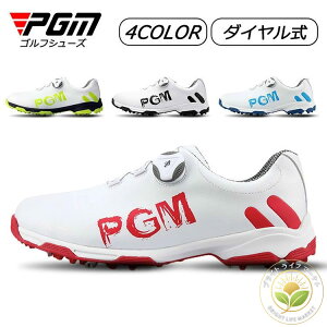 StV[Y Y _C _CA  StV[Y 傫TCY 4E L  XpCNe \tgXpCN StV[Y 28cm 28.5cm y ₷ ʋC ϋv ϊ K