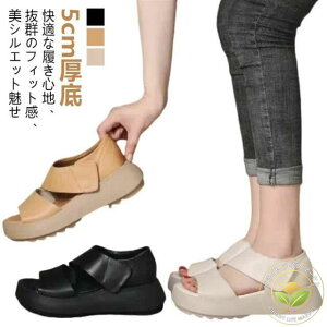 Xj[J[  b H t  ₷ T_ fB[X gȌT_ Ȃ Od  T_