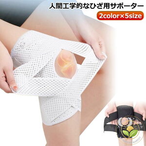 Ђ 1 GWPA GT|[^[ ό`G֐ߏ T|[^[ Ep GŒ G   ʋC G Œ^ oR