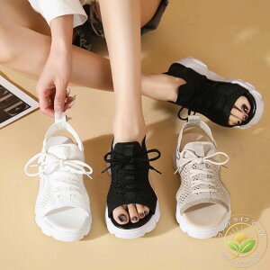 ĝy T_ jbgT_ ҂ݏグV[Y@X|[cX^C Xeb` T_ VN 