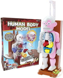 ی̉kV[Y Ȏ̖͌^ pY  l̖͌^ |!hLhLNbV ]Nbl̖͌^