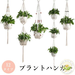   ԕr   }N  픫 CeA K[fjO }N Rbg A  V Ǌ|