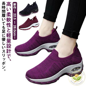  C r y V[Y p EH[LOV[Y  40 jO Ȃ fB[X _CGbgV[Y