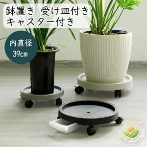 x_ A ړ֗  v^[ bN\ Xgbp[@\t 360°] u LX^[t L[u ԑ