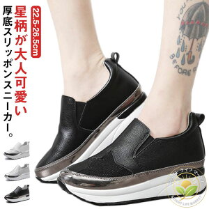  Xb| Xj[J[ fB[X C l Xb|  O V[Y L b wlC }}