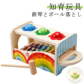 名前入り 名入れ ドイツ 木のおもちゃ 2歳 知育玩具 タップベンチ アンド パウンド ボール落とし 鉄琴 ハンマートイ