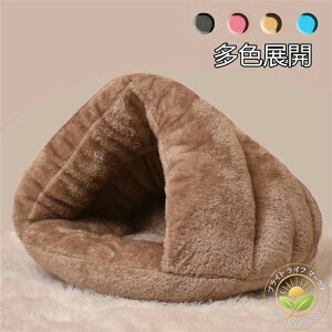 8FWJ@L xbh ybgpQ ۉh  ~p 􂦂 nEX ^ Lp H~p Lxbh Q zc \tg  薰 p􂦂 ybgnEX NbV 