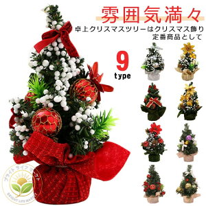 �~�j �~�j �L���L�� �~�j�c���[ 20cm ��� �N���X�}�X���� ���� ���� ������� ���͋C���X �N���X�}�X�c���[ �X������ �I�[�i�����g�t�� ���X �������� �C���e���A �k���G�� �������� �g���� 