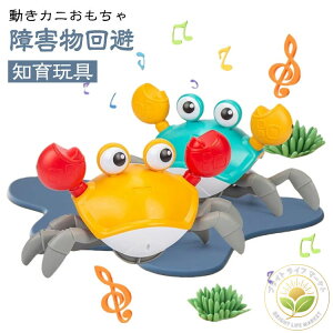 Jj  Jj ǂ  mߋ  d {bg ZT[ Q ybg ǂ LEDCgƉyt L  NX}X av[g c w