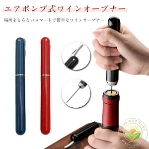 ^ GA[|v C CI[vi[ I[vi[  GA|v v[g 𔲂  RN Mtg ȒP CD RN𔲂 CI[vi[ a 